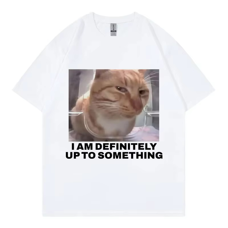 I Am Definitely Up To Somethin - огляд і ціна Street Fashion Definition