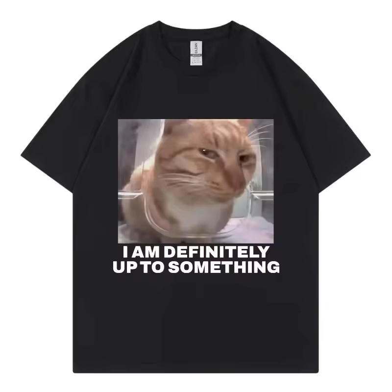 I Am Definitely Up To Somethin - огляд і ціна Street Fashion Definition