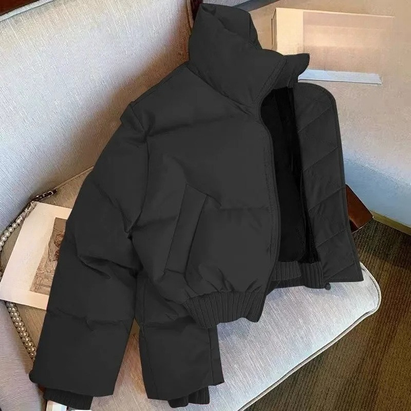 Mens Jacket Winter Classic Loo - огляд і ціна Street Fashion Jacket Men